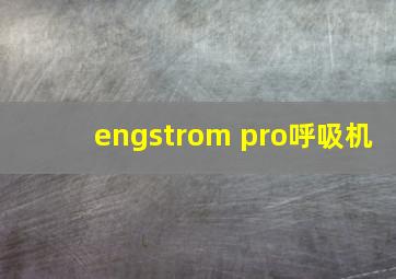 engstrom pro呼吸机